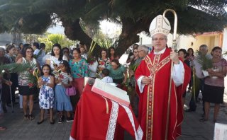 Domingo de Ramos anuncia o inicio da Semana Santa