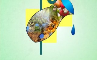 Assembleia Regional de Presbíteros está acontecendo em Campo Maior-PI