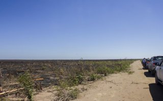ASSENTAMENTO CONSEGUE DECISÃO PARA REINTEGRAÇÃO DE POSSE.