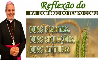 REFLEXÃO DOMINICAL DO  XVI  DOMINGO DO TEMPO COMUM - 19/07/20
