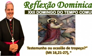 REFLEXÃO DOMINICAL - 22º DOMINGO DO TEMPO COMUM -  DOM MARCOS ANTÔNIO TAVONI 