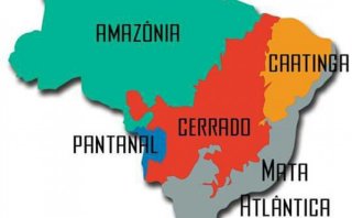 Campanha da Fraternidade 2017: o apelo ao cuidado dos Biomas